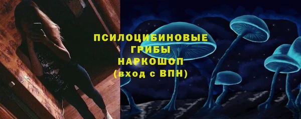 крисы Абинск
