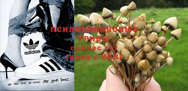 крисы Абинск