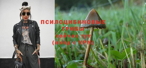 крисы Абинск