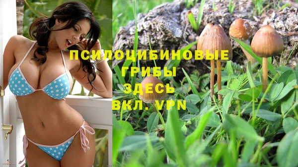 прущий лед Абаза
