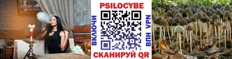 Псилоцибиновые грибы мицелий  купить  сайты  Сальск 